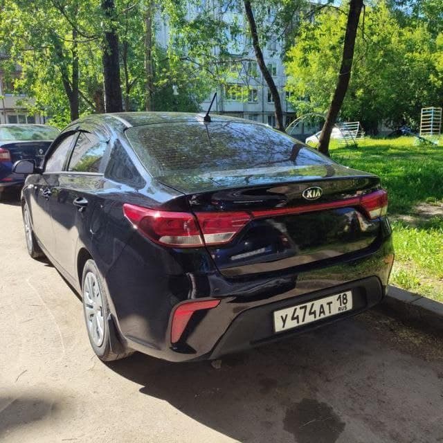 Правила перевозки животных в такси межгород